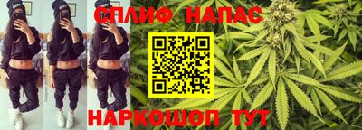 шишки Краснодар