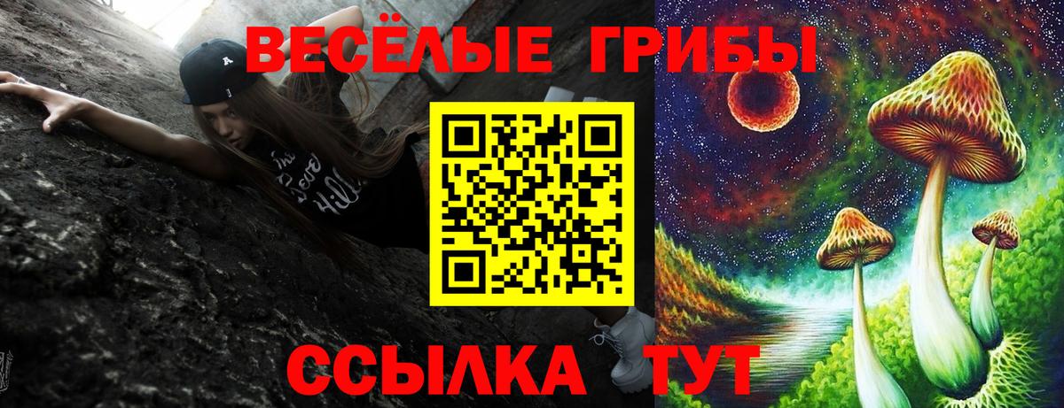 Псилоцибиновые грибы Magic Shrooms  Вход с VPN  Благовещенск 