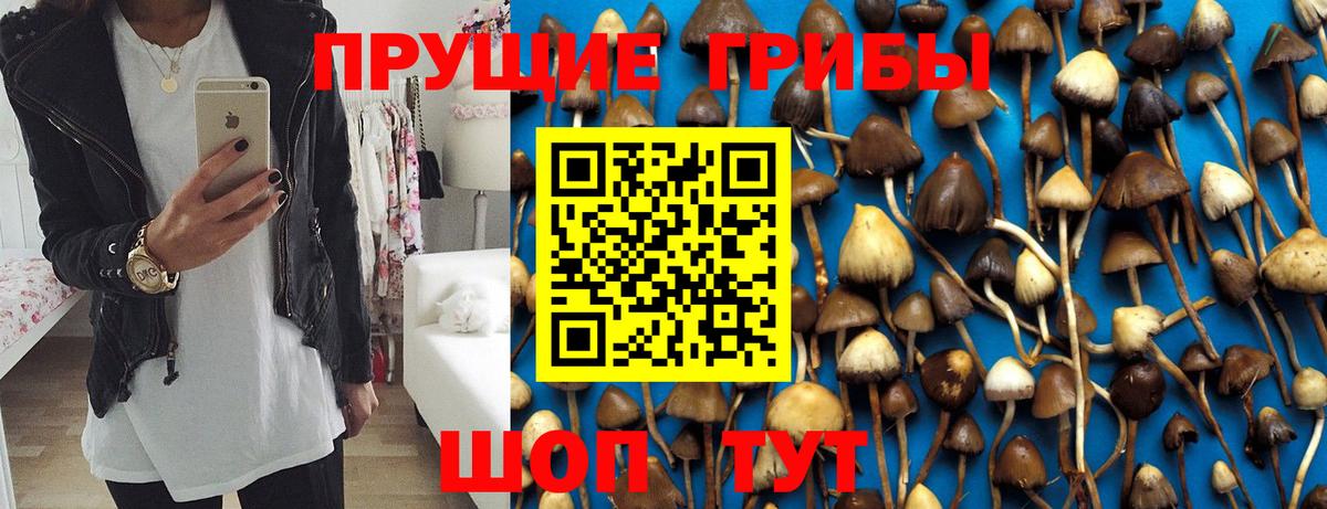 Псилоцибиновые грибы MAGIC MUSHROOMS Благовещенск